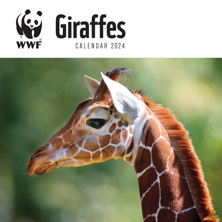 WWF, Giraffes Calendar 2024