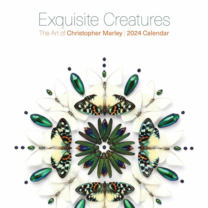 Christopher Marley, Exquisite Creatures Calendar 2024