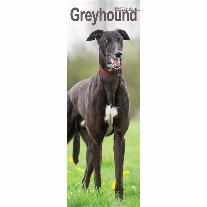 Greyhound Slim Calendar 2024