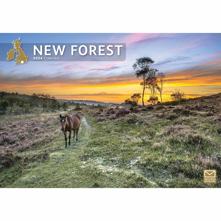 New Forest A4 Calendar 2024
