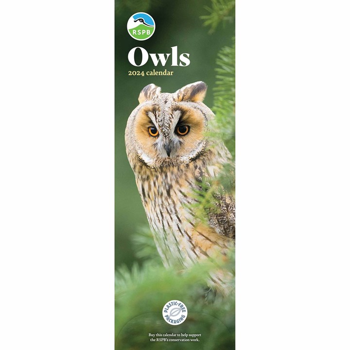 RSPB, Owls Slim Calendar 2024