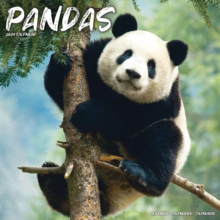 Pandas Calendar 2024