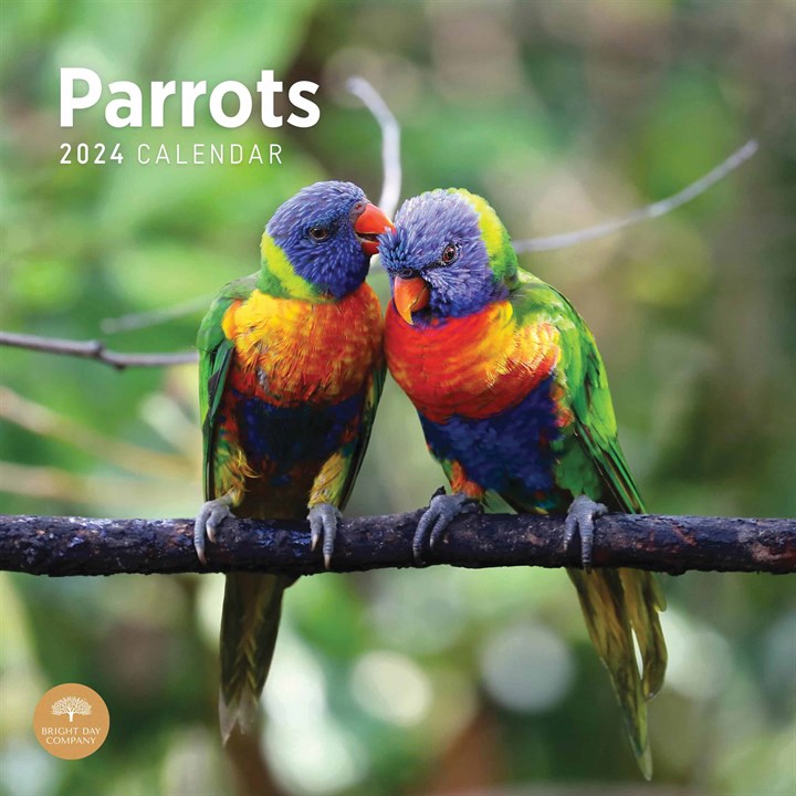 Parrots Calendar 2024