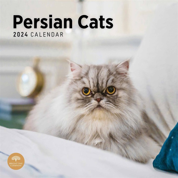 Persian Cats Calendar 2024