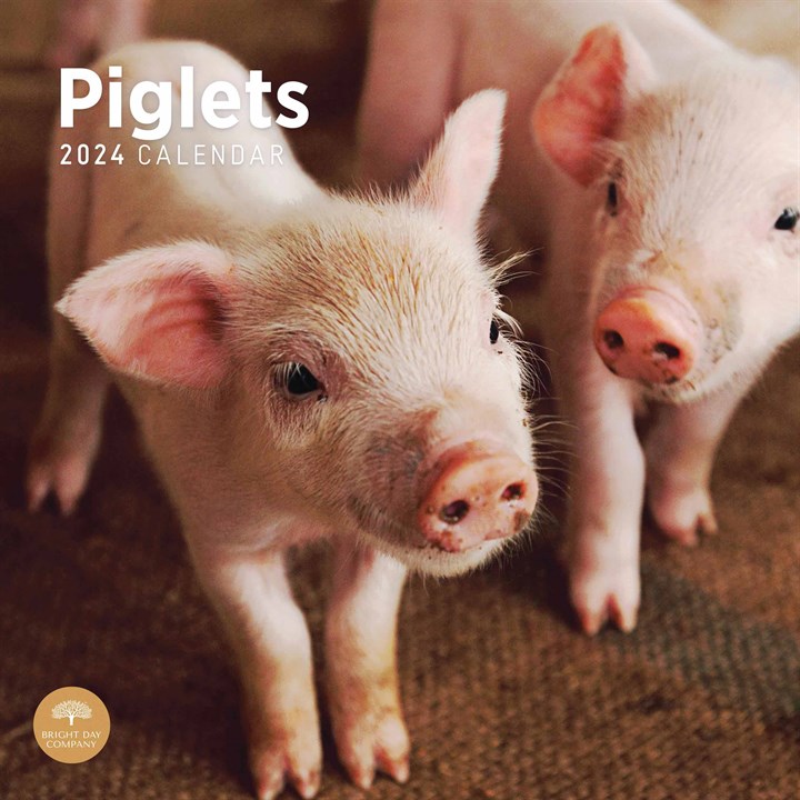 Piglets Calendars 2024