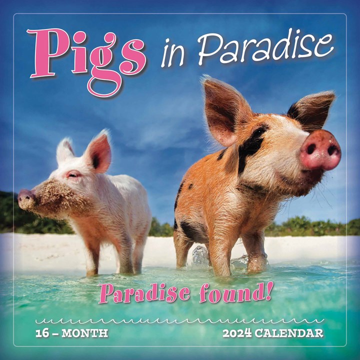Pigs In Paradise Calendar 2024