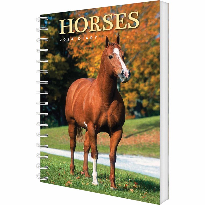 Horses A5 Diary 2024