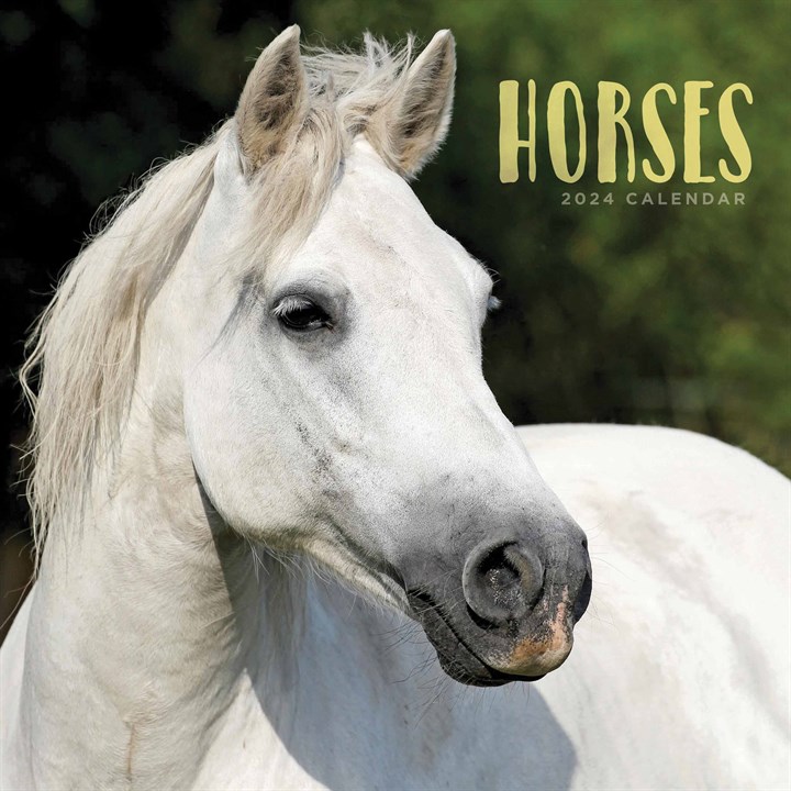 Horses Calendar 2024