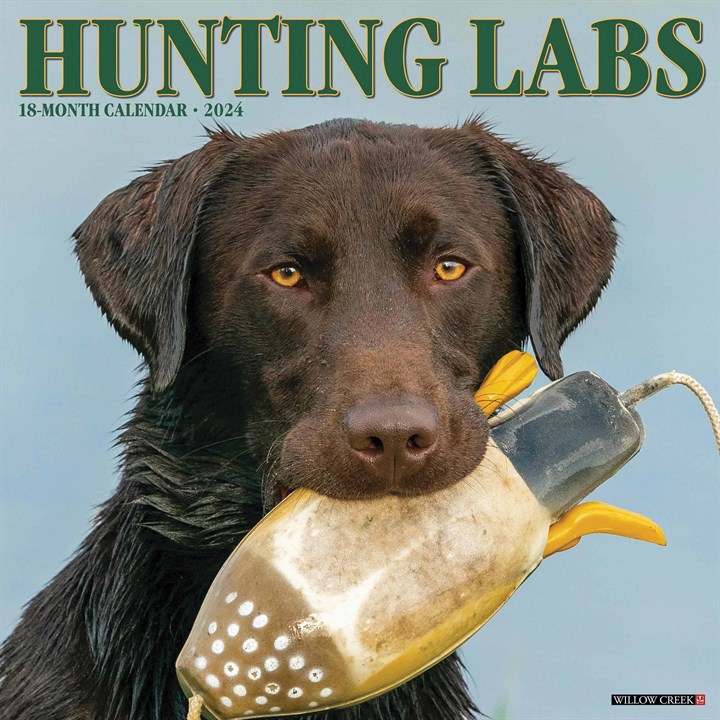 Hunting Labs Calendar 2024