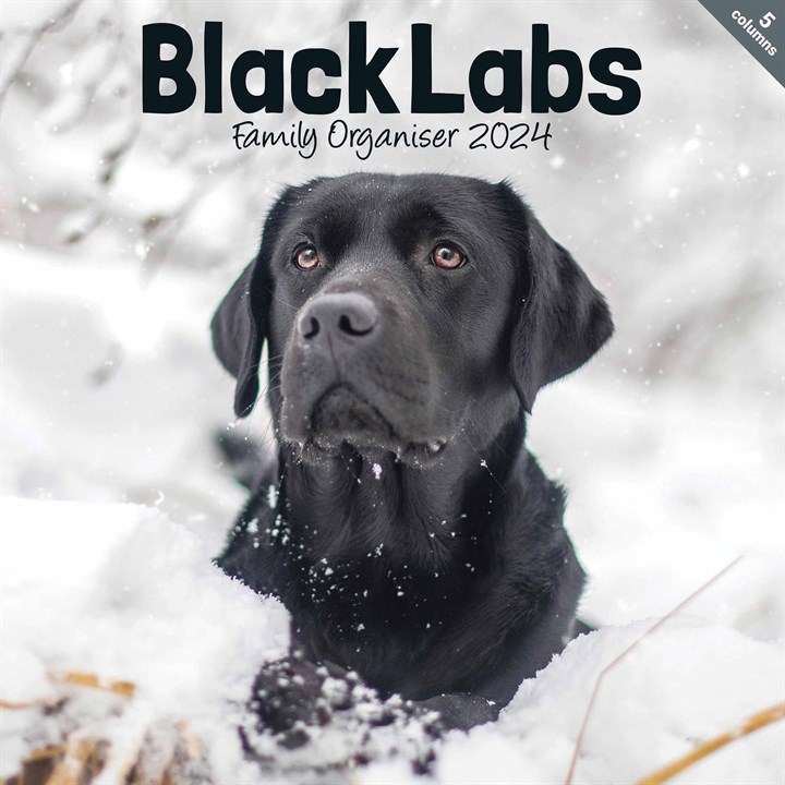 Black Labs Family Organiser 2024