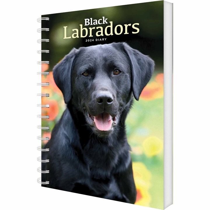 Black Labradors A5 Diary 2024