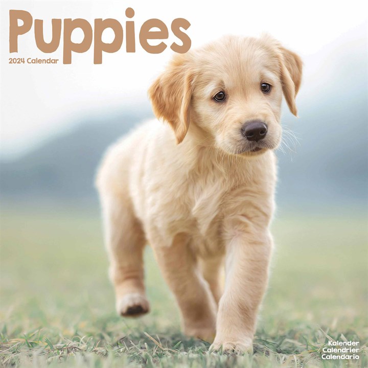 Puppies Calendar 2024
