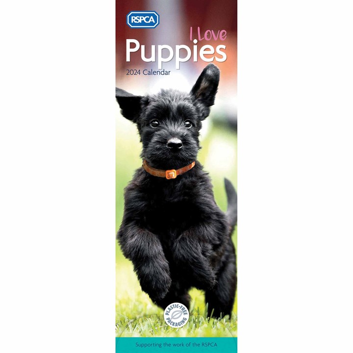RSPCA, I Love Puppies Slim Calendar 2024