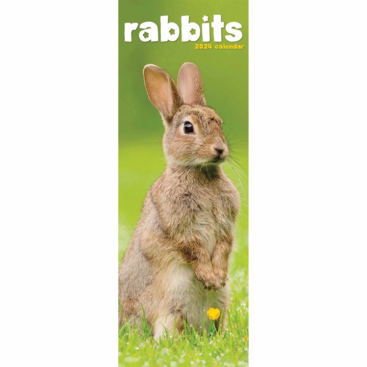 Rabbits Slim Calendar 2024
