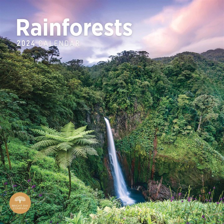 Rainforests Calendar 2024