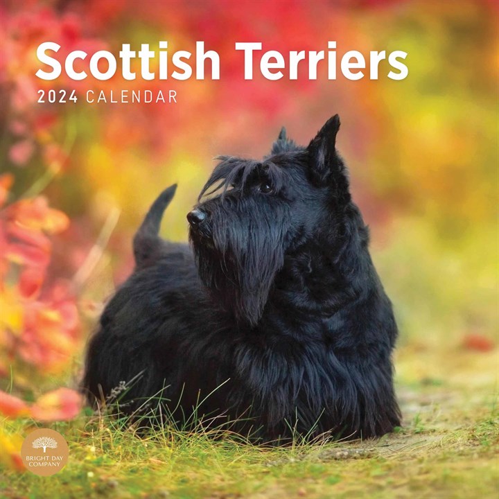 Scottish Terriers Calendar 2024