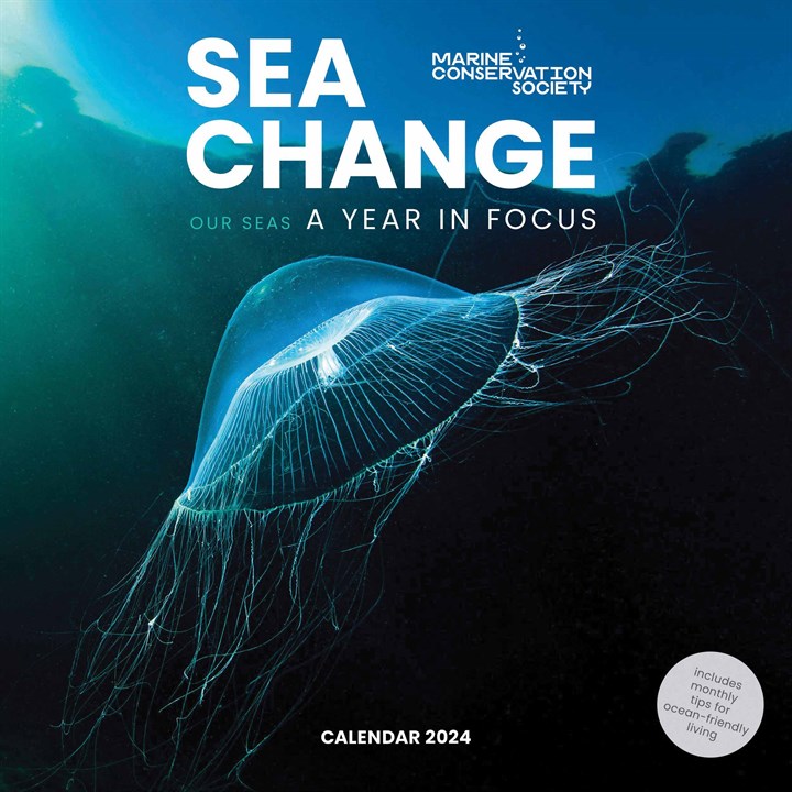 Sea Change, Our Seas A Year In Focus Calendar 2024