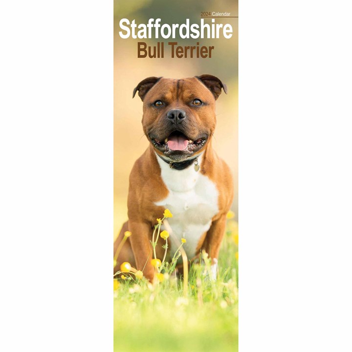 Staffordshire Bull Terrier Slim Calendar 2024