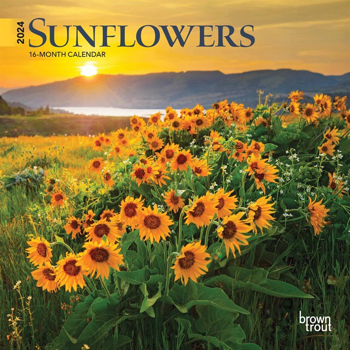 Sunflowers Mini Calendar 2024