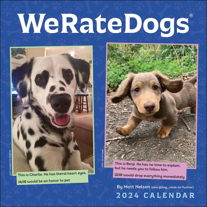 We Rate Dogs Calendar 2024