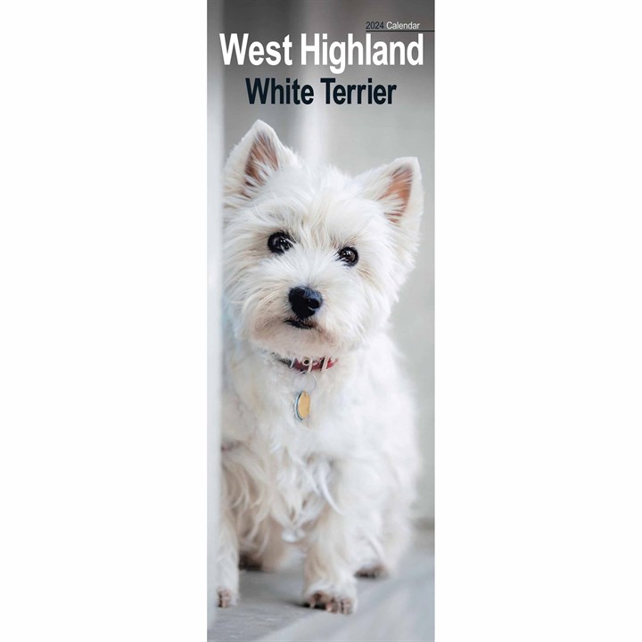 West Highland White Terrier Slim Calendar 2024