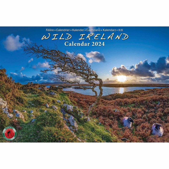 Wild Ireland A4 Calendar 2024