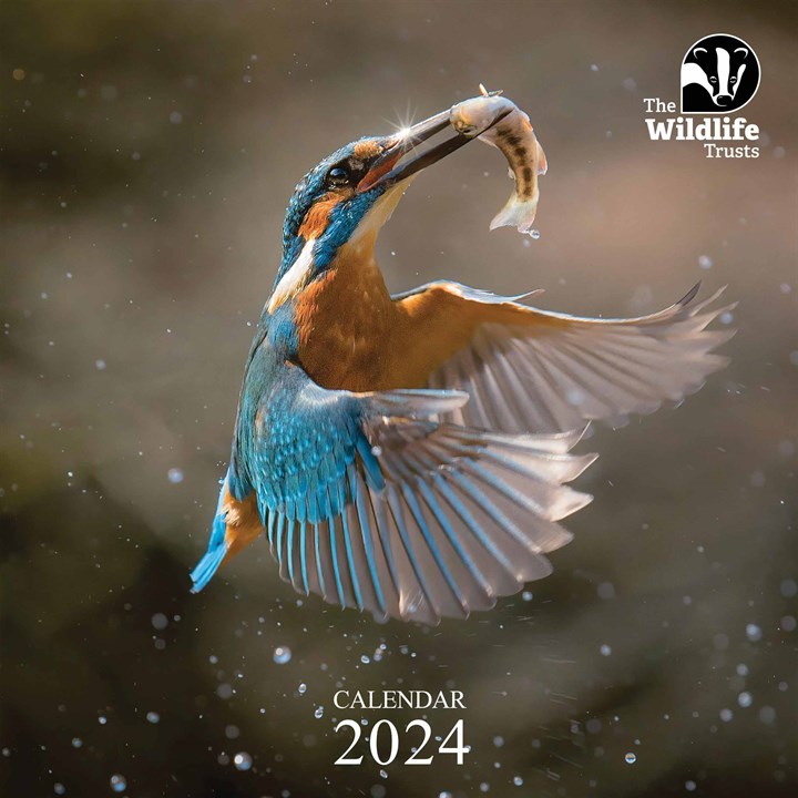 The Wildlife Trusts Calendar 2024