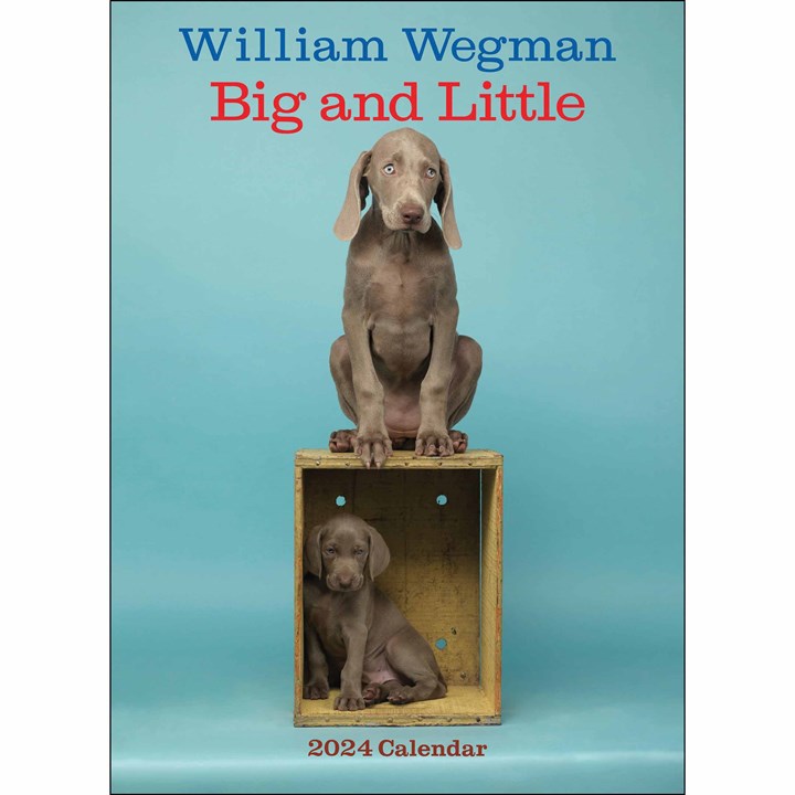 William Wegman, Big and Little Deluxe Calendar 2024