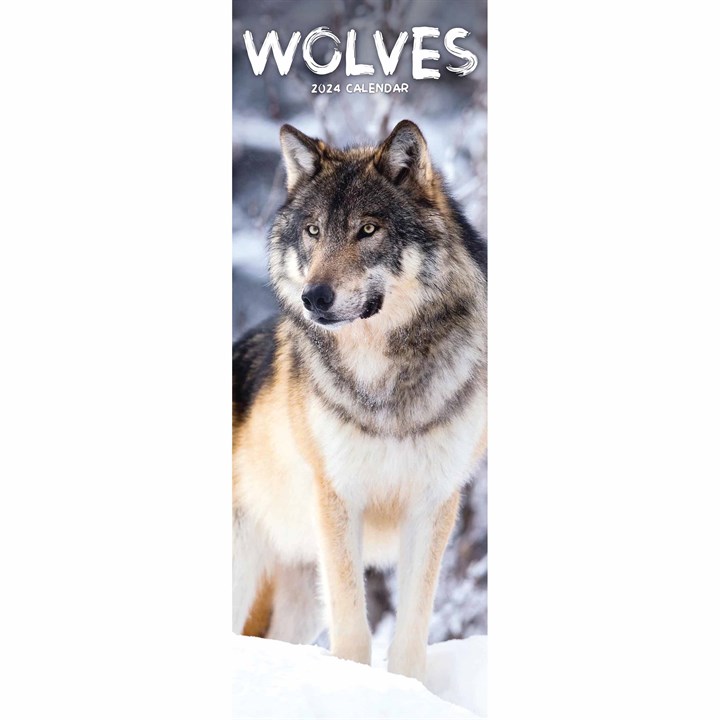 Wolves Slim Calendar 2024