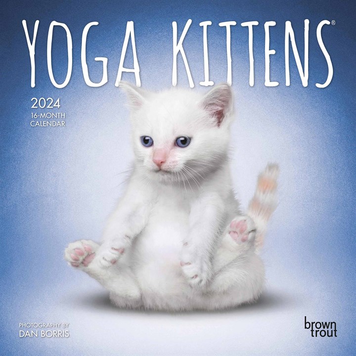 Yoga Kittens Mini Calendar 2024