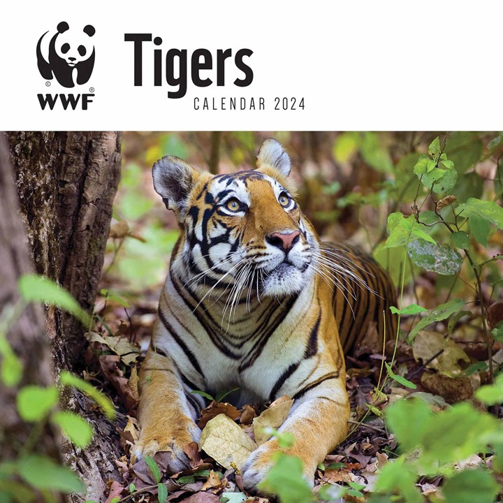 WWF, Tigers Calendar 2024