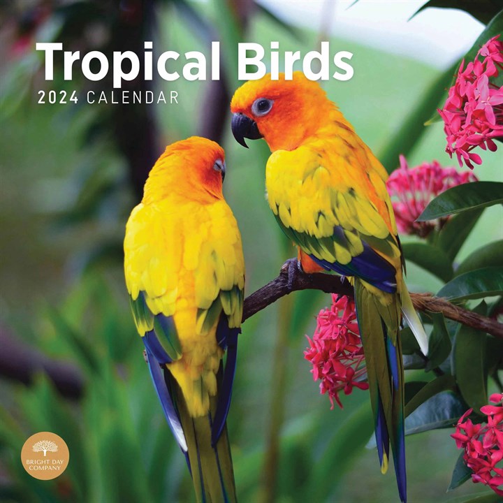 Tropical Birds Calendar 2024