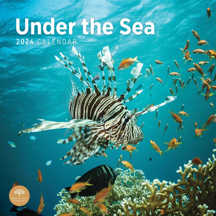 Under The Sea Calendar 2024