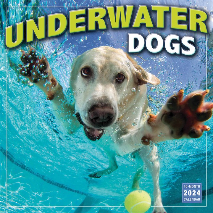 Underwater Dogs Calendar 2024