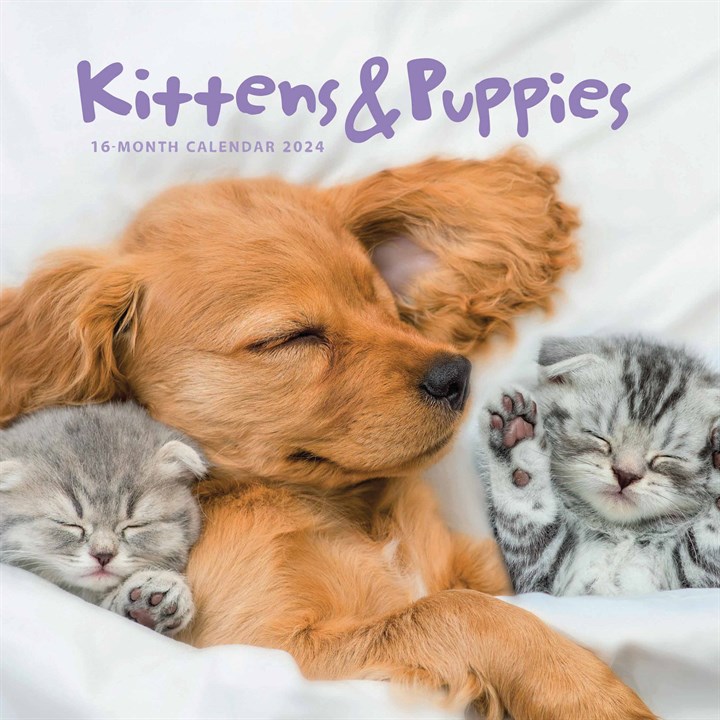 Kittens & Puppies Mini Calendar 2024