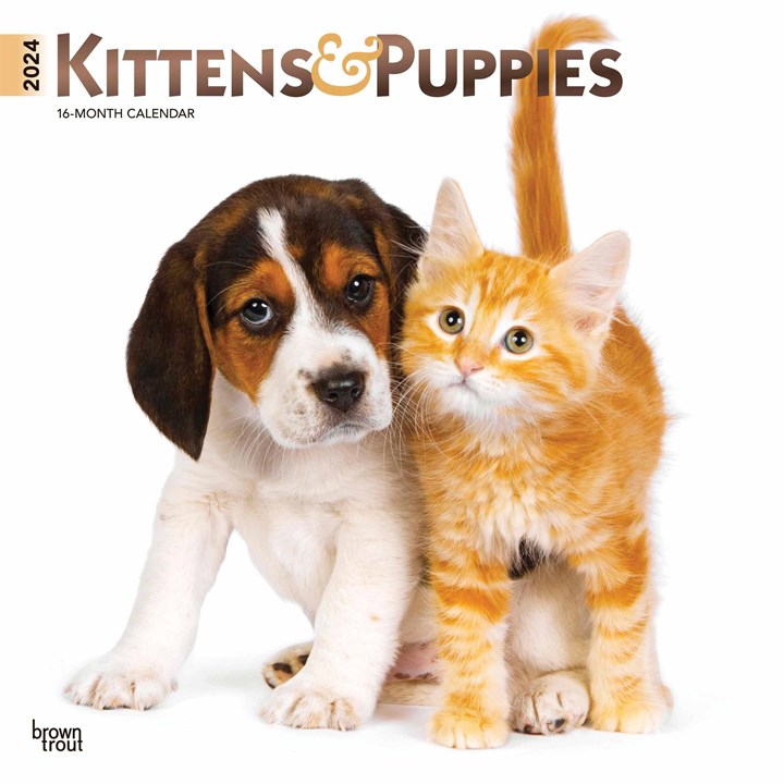 Kittens & Puppies Calendar 2024