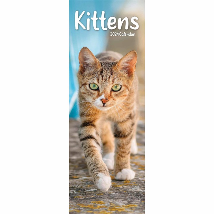 Kittens Slim Calendar 2024