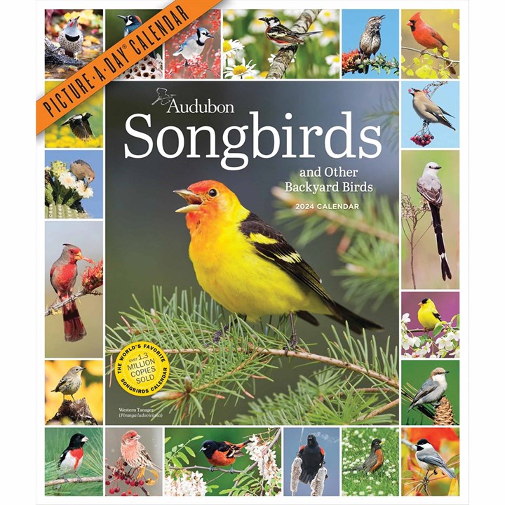 Audubon, Songbirds Deluxe Calendar 2024