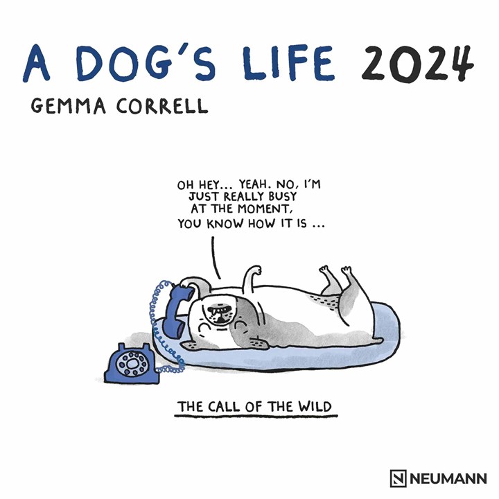 Gemma Correll, A Dog's Life Calendar 2024