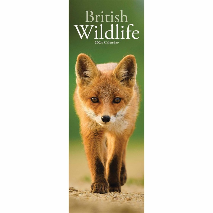 British Wildlife Slim Calendar 2024