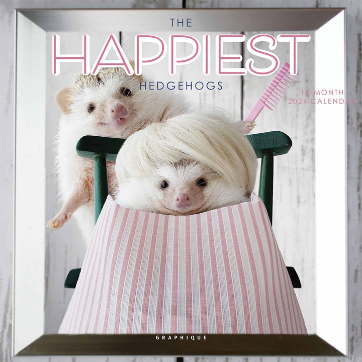 The Happiest Hedgehogs Mini Calendar 2024