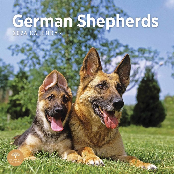 German Shepherds Calendar 2024
