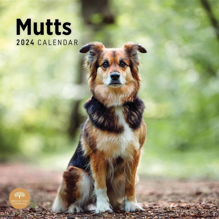 Mutts Calendar 2024