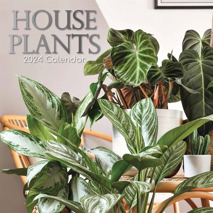 House Plants Calendar 2024