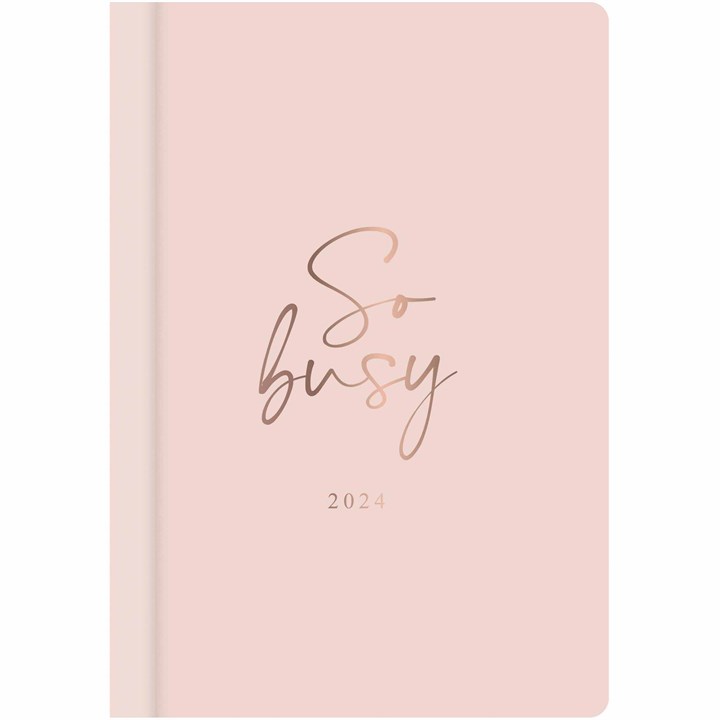 So Busy, Pink A6 Diary 2024