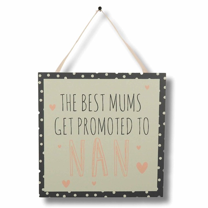 The Best Mums Get Promoted to Nan - Hanging Plaque