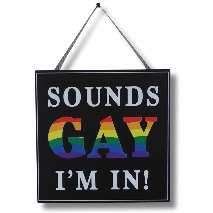 Sounds Gay Im In - Hanging Plaque