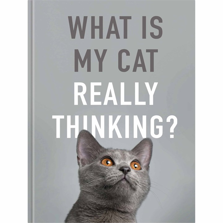 What Is My Cat Really Thinking? Book