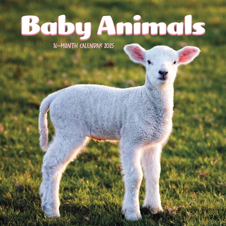Baby Animals Mini Calendar 2025
