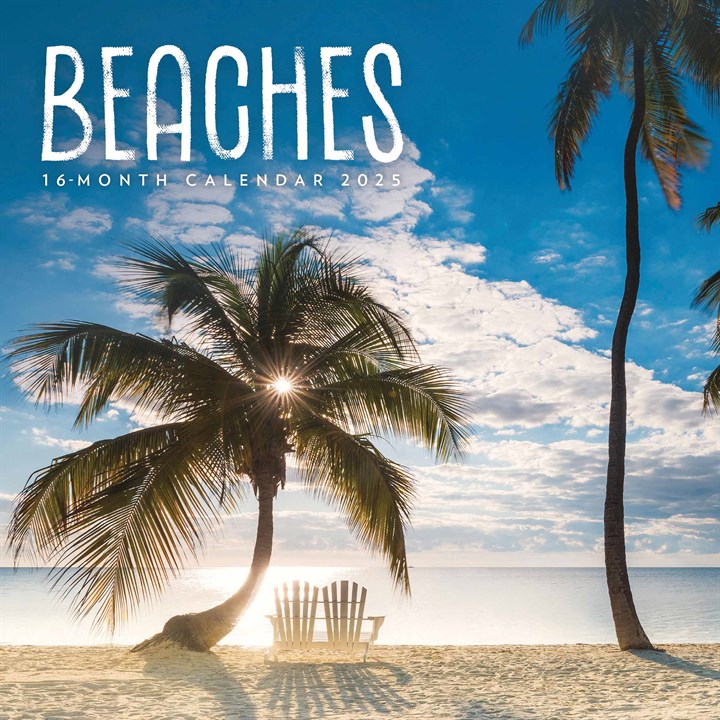 Beaches Mini Calendar 2025